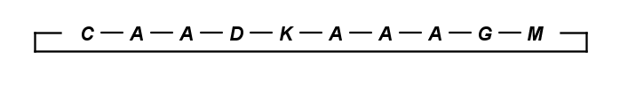 Cycle