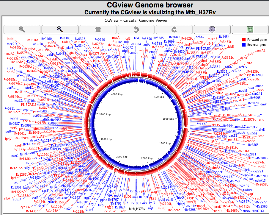 Circular Genome browser